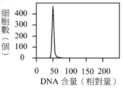 選項 B