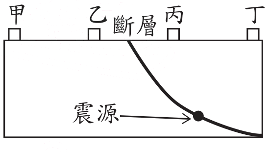 選項 B