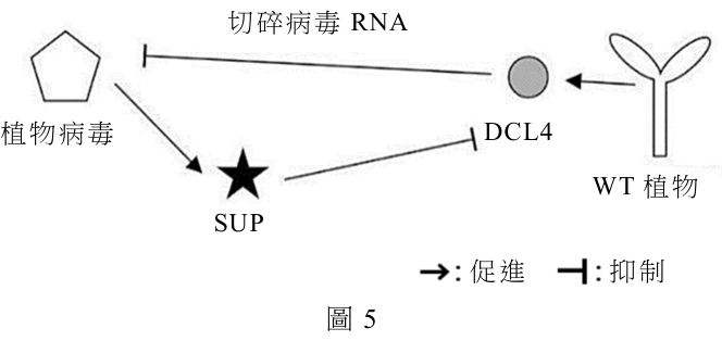 題組圖片