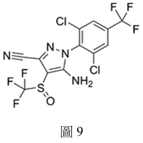 題目圖片