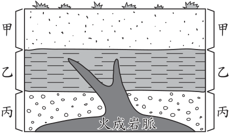 題目圖片