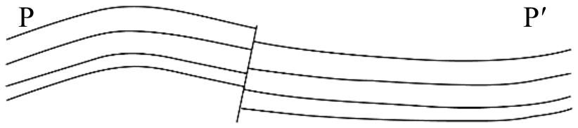 選項 B