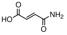 選項 B