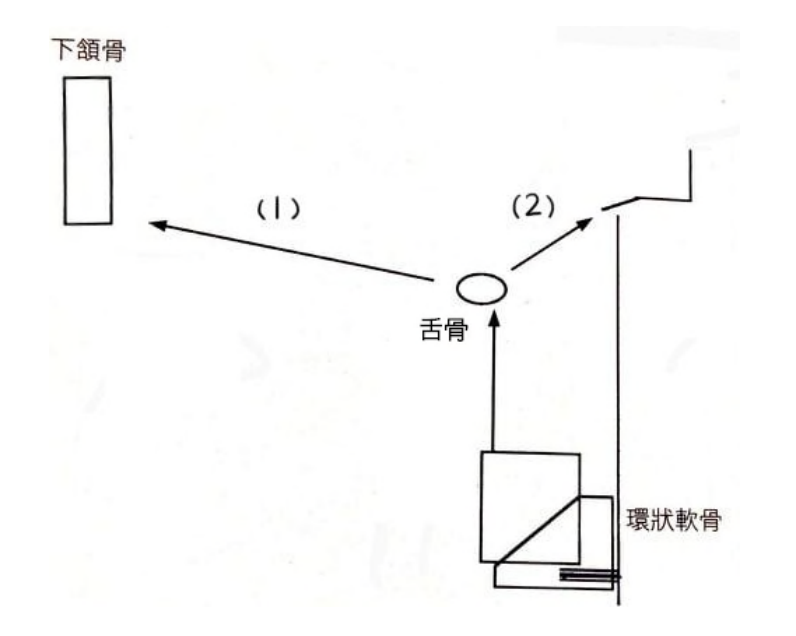 題目圖片