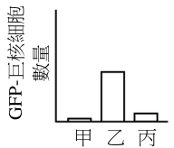 選項 D