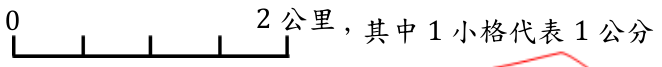 選項 D
