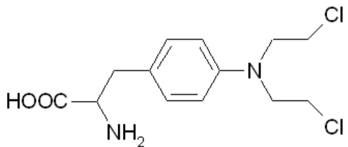 選項 B