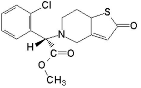 選項 C