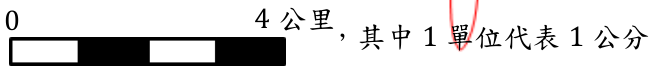 選項 C