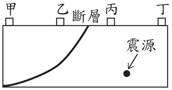 選項 C