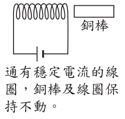 選項 D