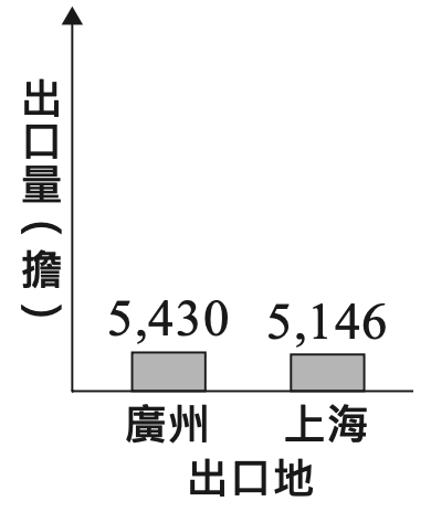 選項 B
