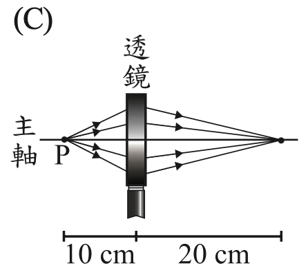 選項 C