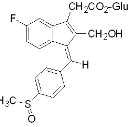 選項 B