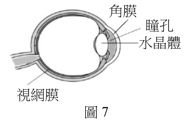 題目圖片