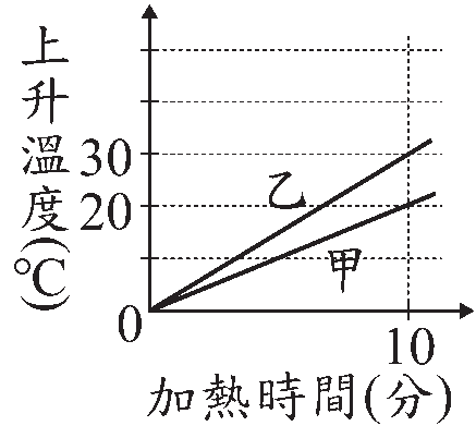 選項 B