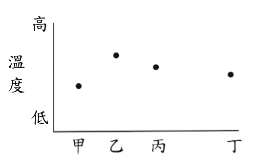 選項 C