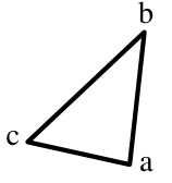 選項 B