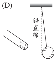 選項 D