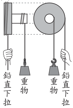 選項 B