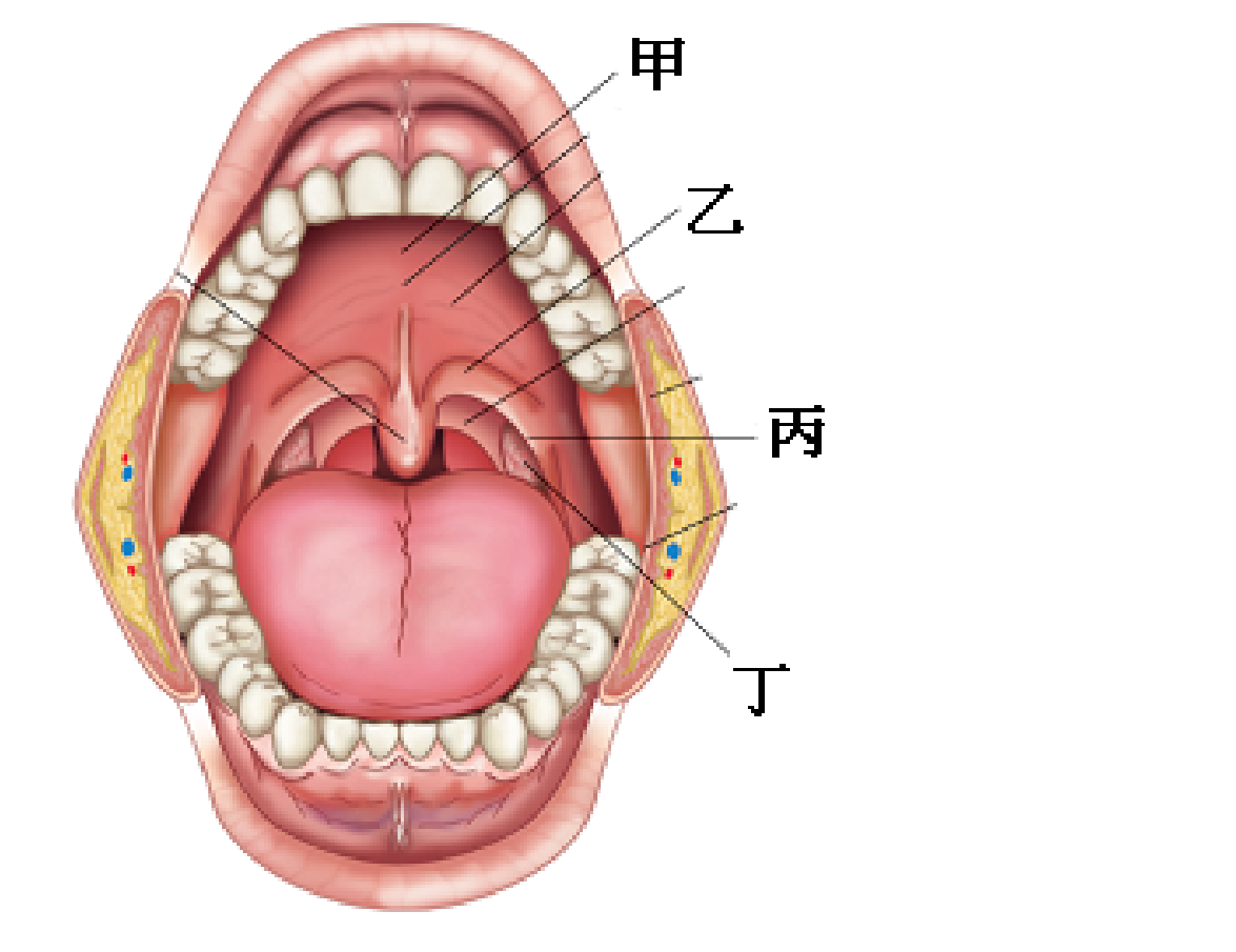 題目圖片