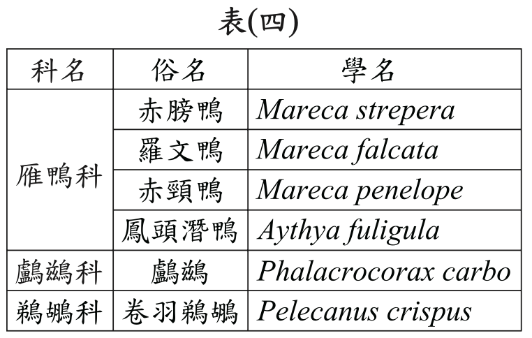 題目圖片