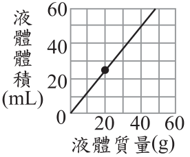 選項 D