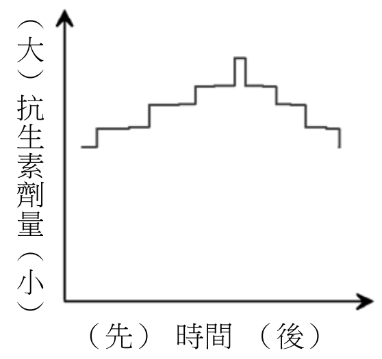 選項 E