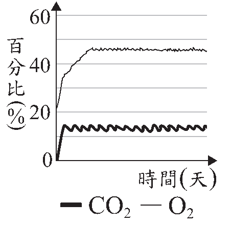 選項 C