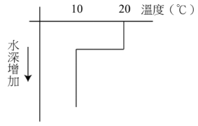 選項 A