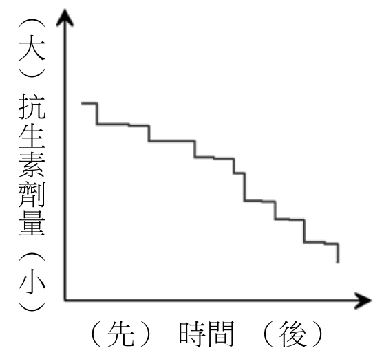 選項 B