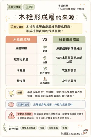 AI 記憶小卡