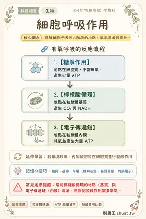 AI 記憶小卡