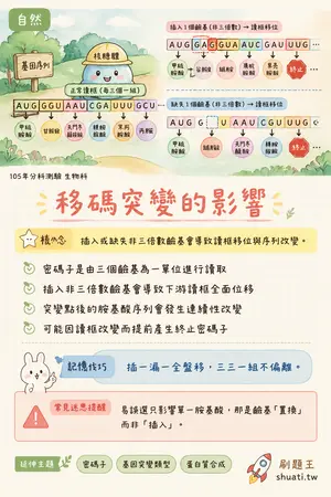 AI 記憶小卡