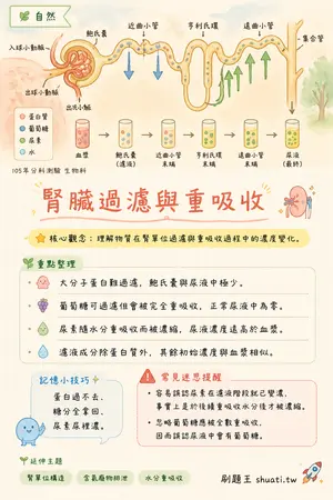 AI 記憶小卡