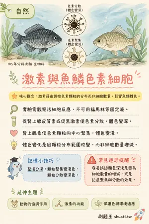 AI 記憶小卡