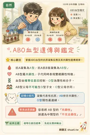 AI 記憶小卡