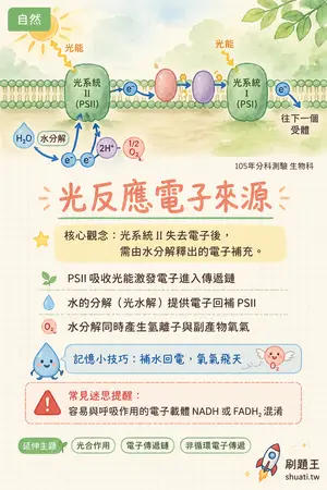 AI 記憶小卡