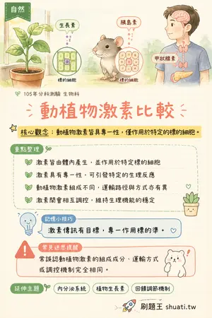 AI 記憶小卡