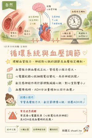 AI 記憶小卡
