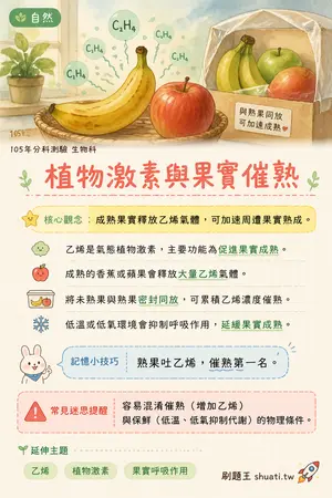 AI 記憶小卡