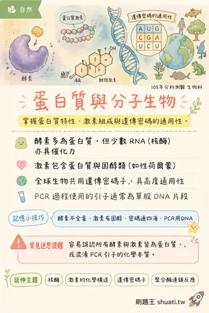 AI 記憶小卡