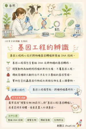 AI 記憶小卡