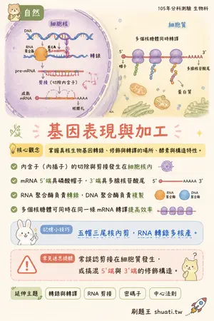 AI 記憶小卡