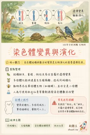 AI 記憶小卡