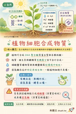 AI 記憶小卡