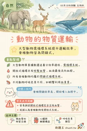 AI 記憶小卡