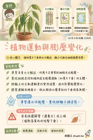 AI 記憶小卡