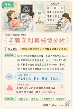 AI 記憶小卡
