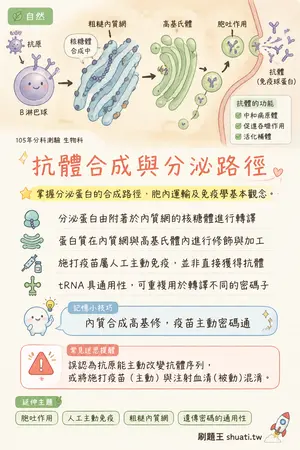AI 記憶小卡